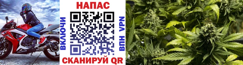 Марихуана тримм  купить наркотик  Трубчевск 